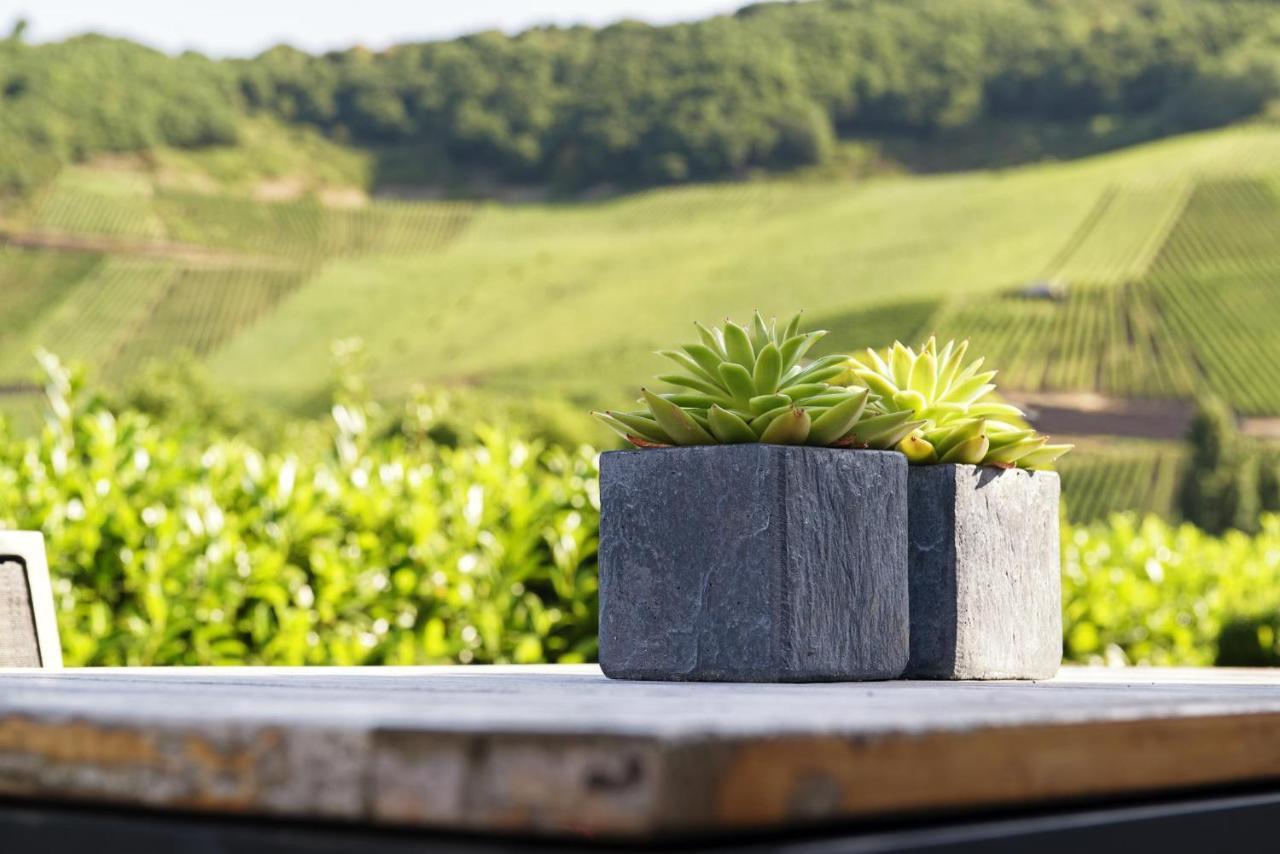 Weingut & Gaestehaus Christoph Cluesserath Trittenheim Luaran gambar