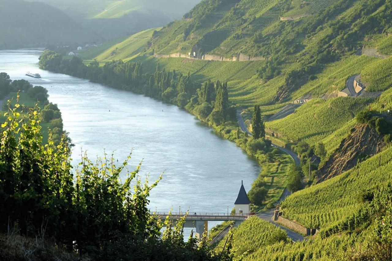 Weingut & Gaestehaus Christoph Cluesserath Trittenheim Luaran gambar
