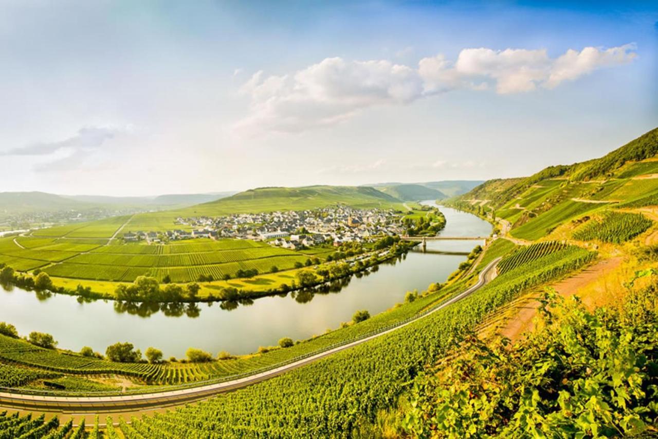 Weingut & Gaestehaus Christoph Cluesserath Trittenheim Luaran gambar