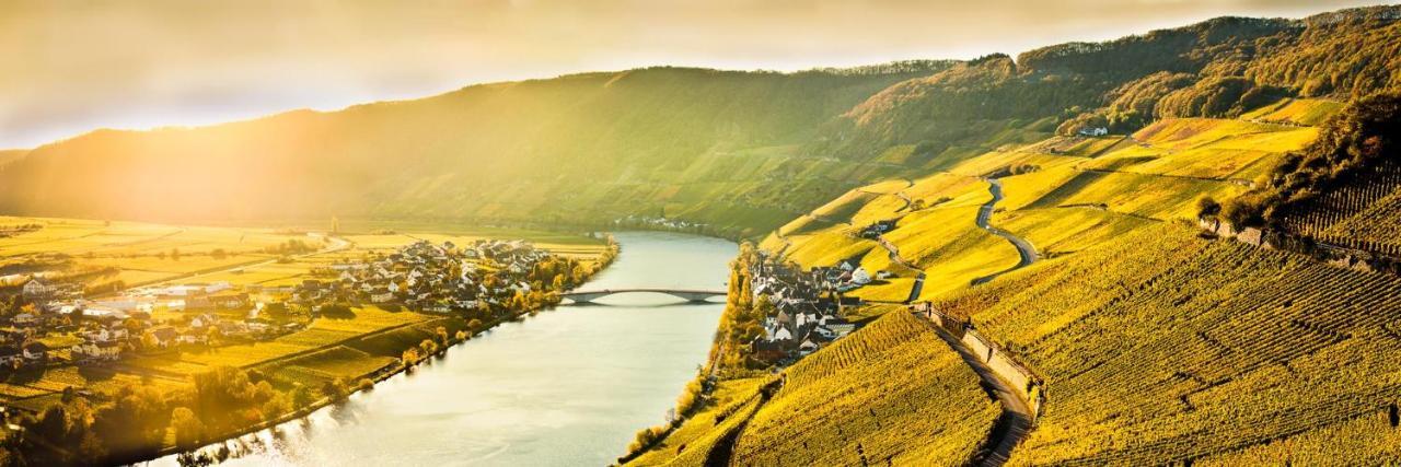 Weingut & Gaestehaus Christoph Cluesserath Trittenheim Luaran gambar